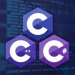 C C++