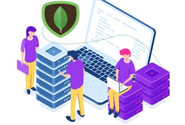 MongoDB Developer